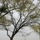 4월9일 토요일 햇님을 볼수 없었던 선유도의 오후~^^ 이미지