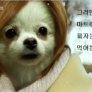피자마트 이미지