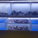 진미아구찜 이미지