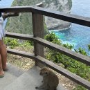 서부차량관리 | 발리 패키지 여행 후기 자유 누사페니다 서부 섬 투어