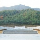 수림조경 Daum카페