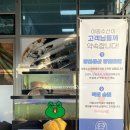 야옹수산 이미지