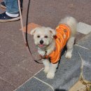 만남의광장 공영주차장 화장실 이미지