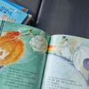 (주)한국몬테소리 이미지