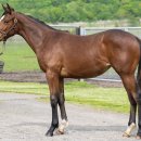 신통목장 이미지