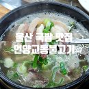 뚠뚠여지도 346번째 여정 울산 통도사 KTX역 근처 소머리곰탕 맛집 언양 교동불고기 방문 후기