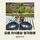 P.A.D | 삼진 A.D.P 모종 심기 요람, 모종 이식몸살 방지화분