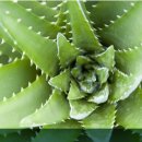 (주)남양기업 이미지