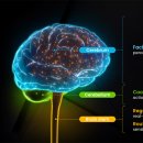 온디맨드가 만드는 새로운 세상 이미지