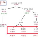 근현대사에서 빠지면 안 될 대한민국 사이비 종교 계보 이미지