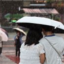 소나기 뉴시스