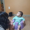 장태산 산그림펜션 이미지