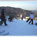 양지파인리조트 이미지