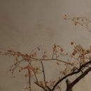 제일연합한의원 이미지