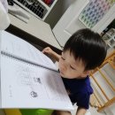 신세계원예 이미지