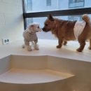 군포유치원 이미지