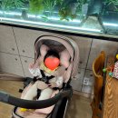 평택 터미널 입구 앞 | 평택 안중 갈비 맛집 - 직화대첩 방문 후기