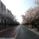 신천고등학교 | 200410 오세훈 유세차량에 돌진한… 흉기 든 남성 체포﻿