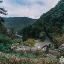 용곡낚시터 이미지