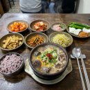 충남순대 - 유성구 봉산로40번길 24 | 충남순대