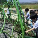 으뜸과학유치원 이미지