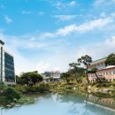 세종이음학교 앞 이미지