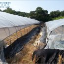 한천보건진료소 이미지