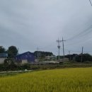 제월민박 네이버블로그