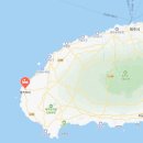 올리브네 | 제주 서쪽 에어비앤비 추천 고양이가있는 여성전용 게스트하우스 올리브네