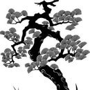 信유성 이미지