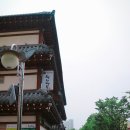 착한전복 이미지