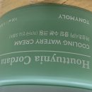 쿨링 여름수분크림 | 토니모리 어성초 시카 쿨링 수분 크림 후기｜100ml 대용량 가성비 진정크림 솔직 사용기