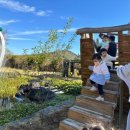 자연동산어린이집 이미지