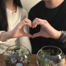12/8 크리스마스 테라리움 | 홍대 공방 데이트 이끼 테라리움 만들기 체험