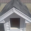 전원애견 이미지