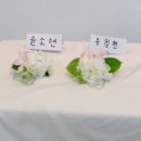 코사지-바스트 코사지 이미지
