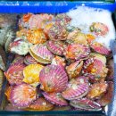 대신수산 이미지