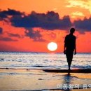황혼의 노래 (김노현 시,곡) - 안산시립합창단 & 박신화 (지휘) 이미지