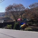 조안2리 이미지