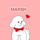 짐을내려놓고편히쉬세 | 방콕 수완나품 공항 가성비 호텔 &amp; 검역소 방문 I 강아지랑 방콕 파타야 여행 EP.34