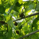 해원농장 이미지