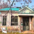 부곡동 주민센터 | 동해 벚꽃 축제 유천문화축제 2026 부곡수원지 구상수시설