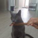 박애춘