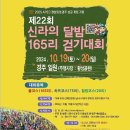 황성공원 축구공원 5구장 이미지
