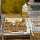 왜관시장 | 칠곡 왜관시장 벌집 아이스크림 맛집 꿀벌빵 본점 내돈내산 후기