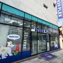 우쭈쭈플렉스 강아지 미용 이미지