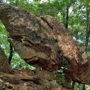 괴산 사랑산 등산 후기 – 코끼리바위부터 연리지까지, 나의 조용한 산책기