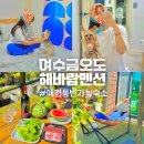 해바람펜션 이미지