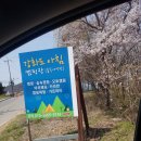 강화도아침숲속캠핑장 이미지