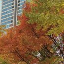 서빙고(근린공원) 이미지